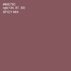 #86575C - Spicy Mix Color Image